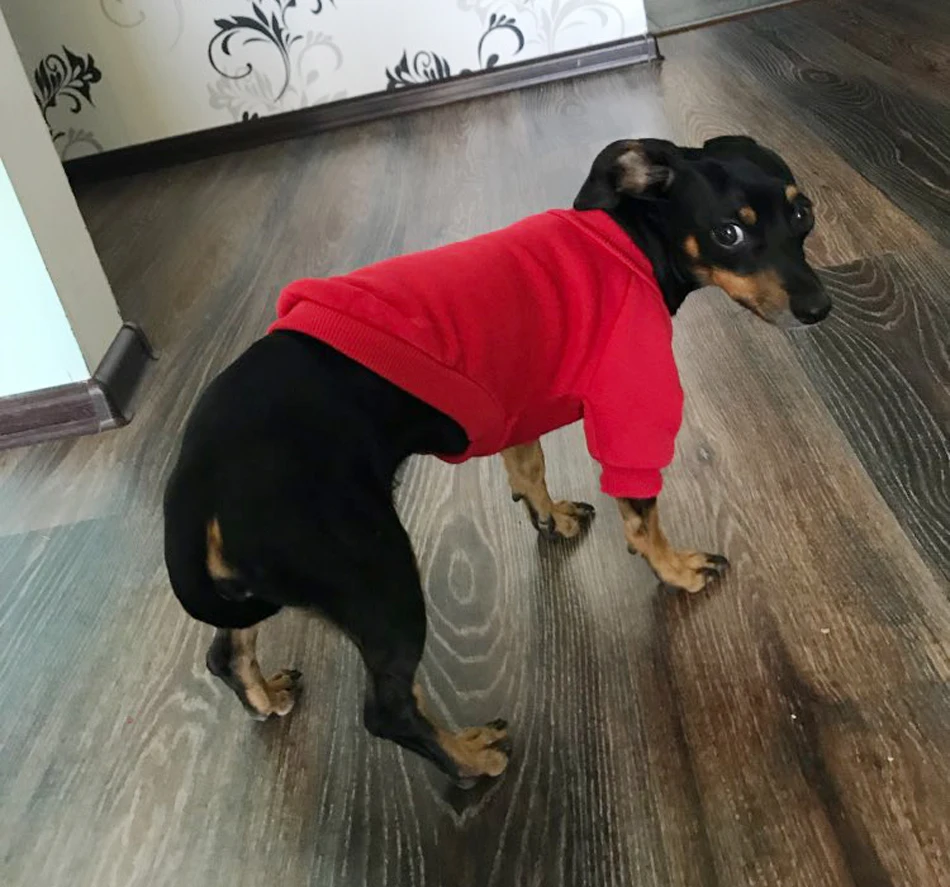 UTB8VFDFiKvJXKJkSajhq6A7aFXaw