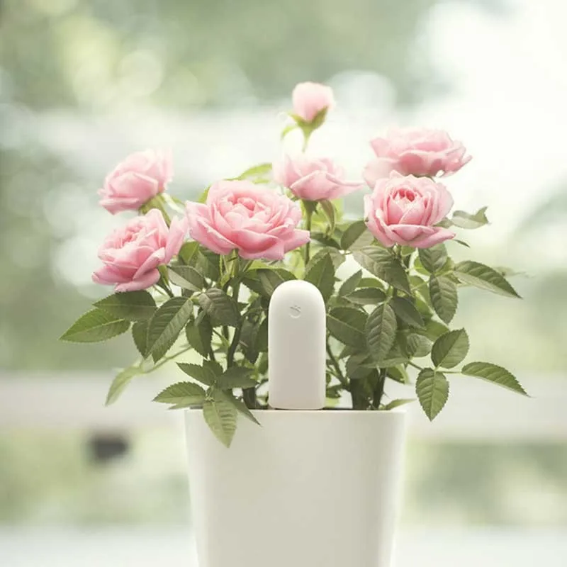 100-Original-Xiaomi-Mi-Flora-Monitor-Digital-Plants-Grass-Flowers-Soil-Water-Light-Smart-Tester-Sensor (2)