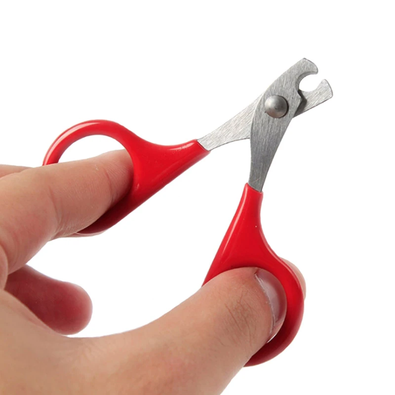 dog nail clippers for small dogs