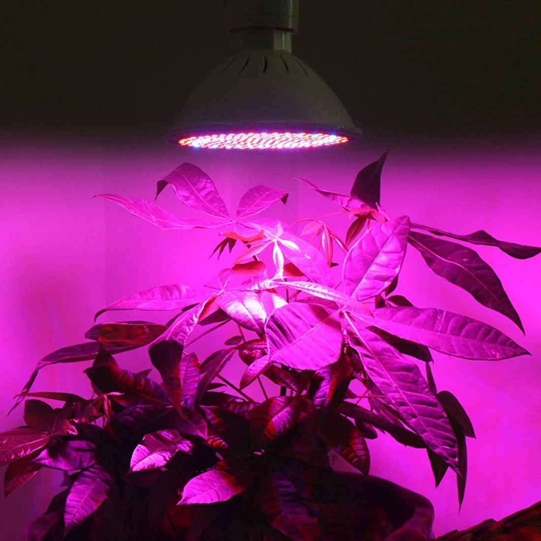 Гидропонное освещение с зажимом лампы растения для девочек, держащих букет невесты гидропоники Системы крытого сада E27 разъем 60/106/126/200