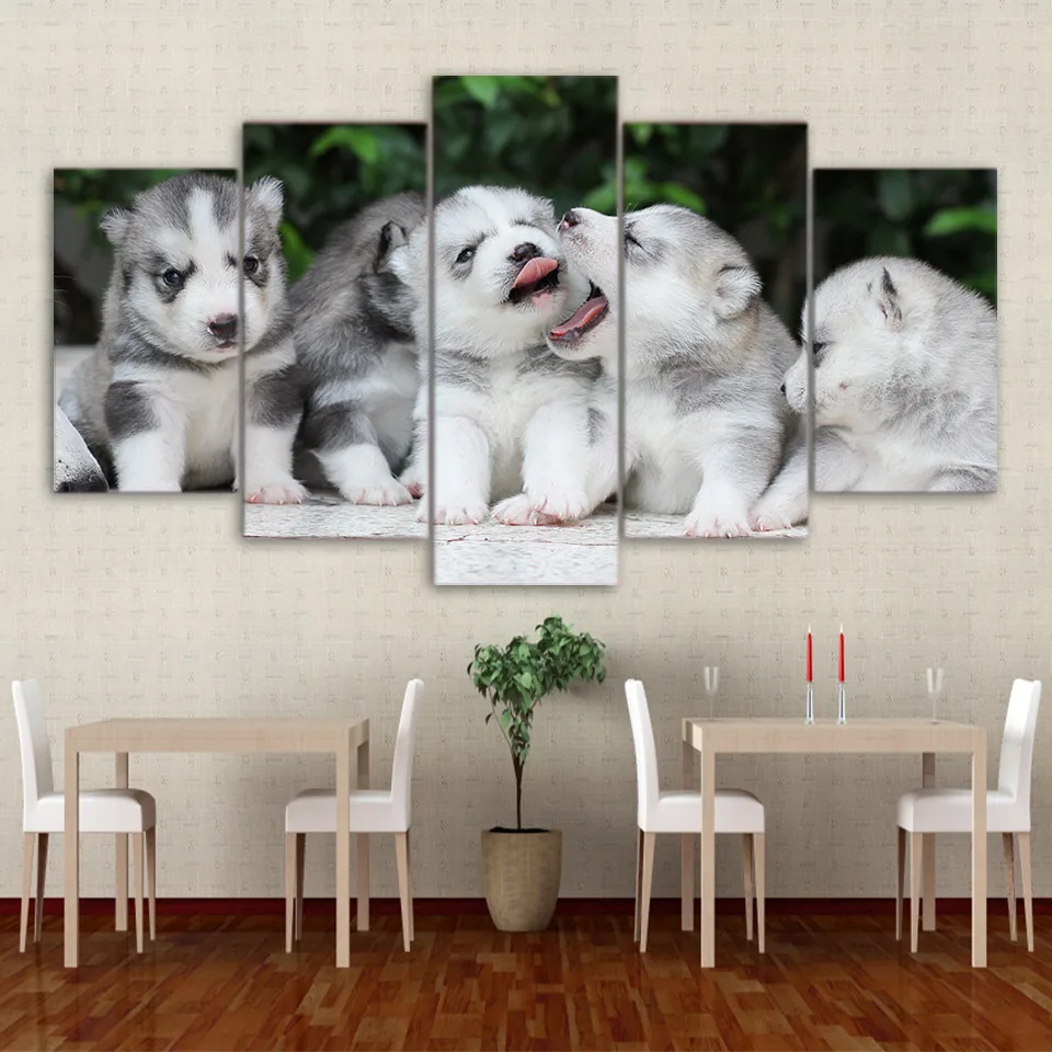 5d diy Алмазная вышивка детские Собака Хаски 5 шт. алмазная крестиком квадратная