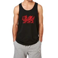 Loo show The Welsh Dragon тренировочный топ для мужчин