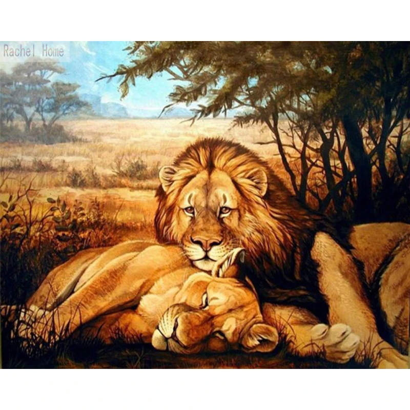 AD235  25X20