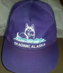 Напечатанный Snapback Skagway Аляска шляпа бейсболка Бейсбол Кепки