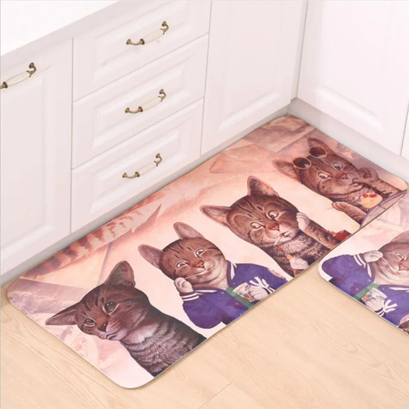 Hot Personality Cool Cat 40*60cm Door Entry Door Mats Bathroom Mats