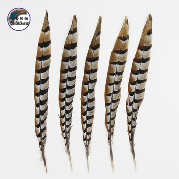 

40-80 Inch(100-200 cm)Chinese Top Manufacturer Best Selling Cheap Large Natural Reeves Pheasant Tail Feathers