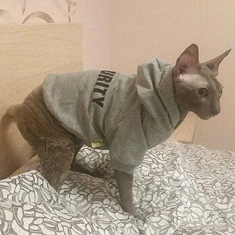 UTB8pElneDzIXKJkSafVq6yWgXXax_