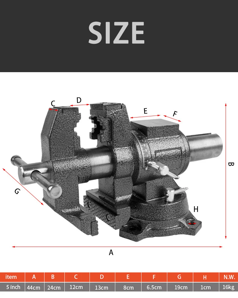 D5