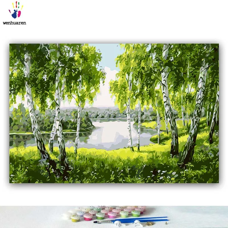 DIY картинки для раскраски по номерам с цветами березовый лес впечатление леса пейзаж Картина Рисование по номерам в рамке - Цвет: 4013