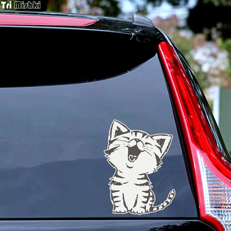 automobile pussy pics Automobile pussy pics