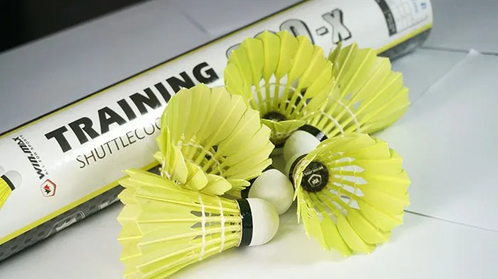 Advanced Goose Feather  Shuttlecock 12 PCS tube   (2)