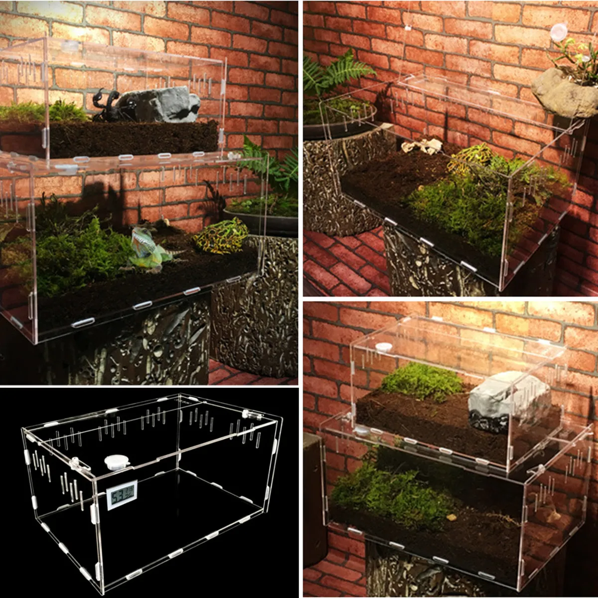 Cena Rozmiar S L zbiornik gadów owady pająki żółw jaszczurka akrylowy przezroczysty inkubator Vivarium Lid gad domowy produkt Terrarium