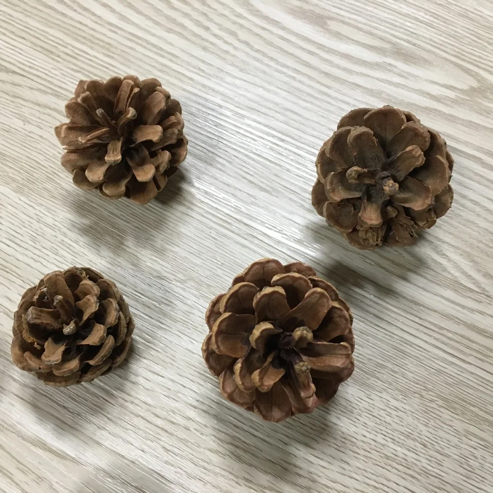 

10pcs Christmas Pine Cones Pendant Natural Wood Christmas Tree Decoration Crafts Home Ornament DIY