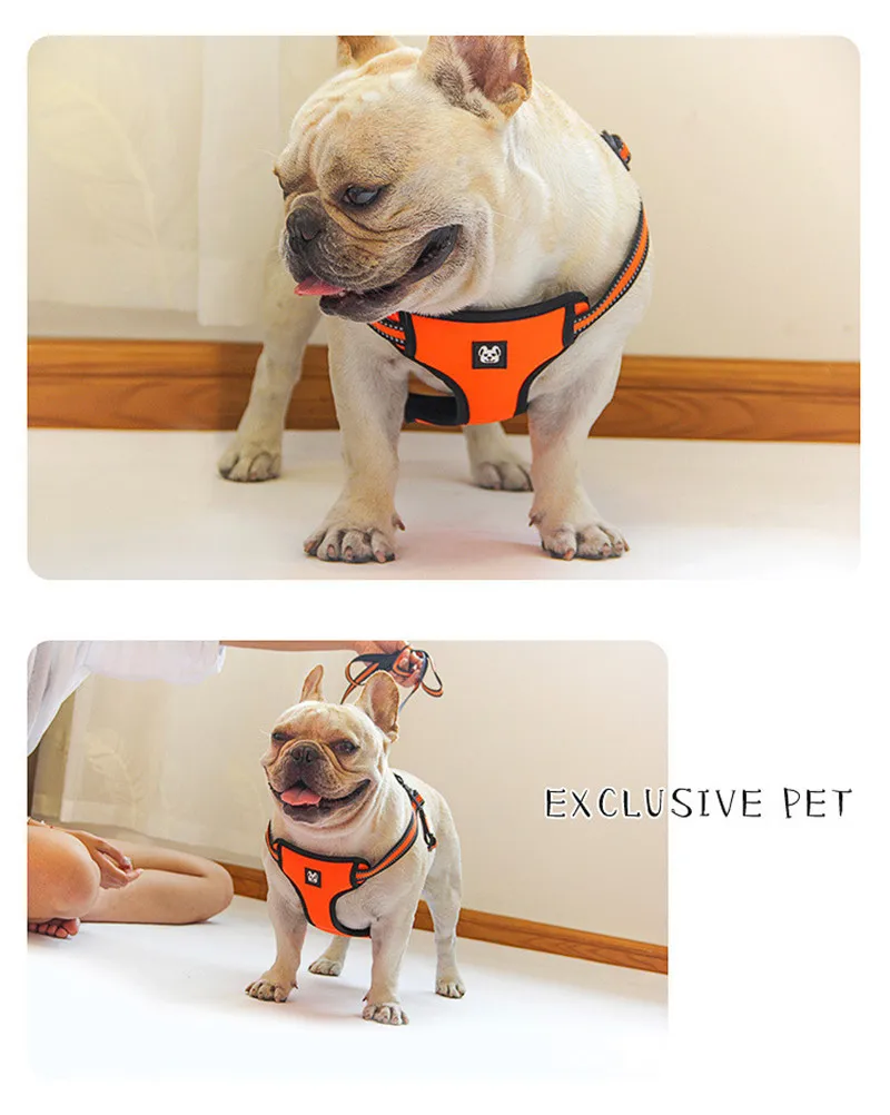 Dog Harness and Leash Set  (7)