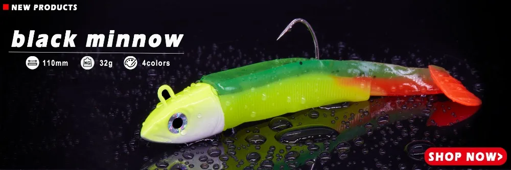 black minnow 
