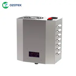 Озонатор воды для овощей и фруктов озона генератор озона Прачечная 5 г в час трубы установка