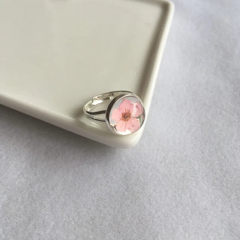 Anique серебряные кольца с высушенными цветами, круглые стеклянные Регулируемые кольца с цветком сливы, Летний стиль, ручная работа, высушенные цветочные украшения в подарок - Цвет основного камня: pink