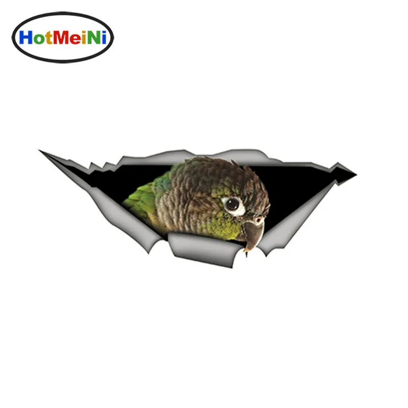 

HotMeiNi 3D Car Stickers Green Cheek Conure Funny Parrot Decal Creative Modified Waterproof Styling 15cm x 6cm