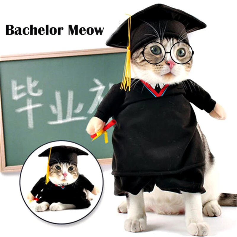 Забавный Ph. D. Костюмы для собак и кошек карнавальный костюм с очками одежда