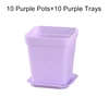 Purple Pots and Tray