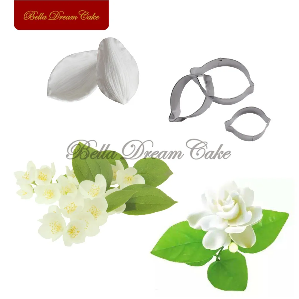 Jasmine Flower-5