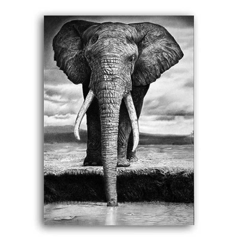 Картина слон черно белая