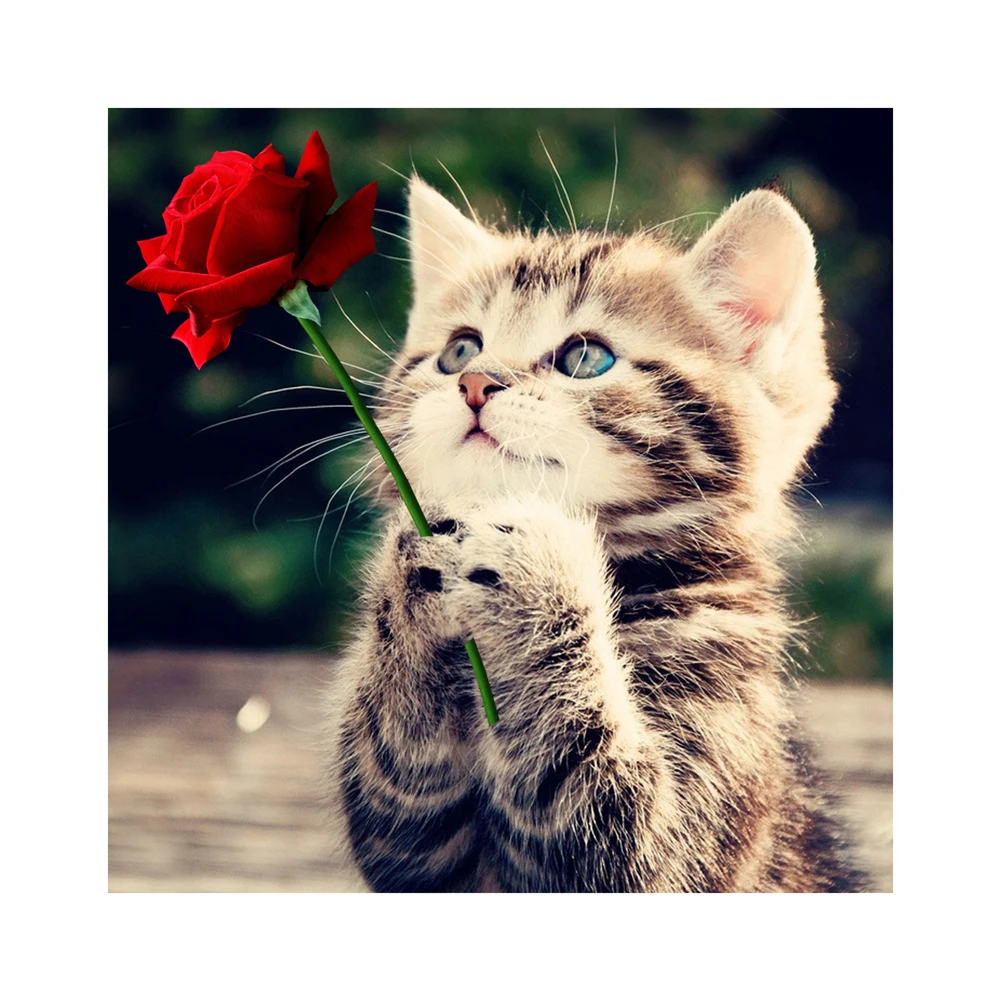 

Needlework Cat 5D Diamond Embroidery Painting Animals Square Patterns Rhinestone Canvas Cross-Stitch Art Home Decor