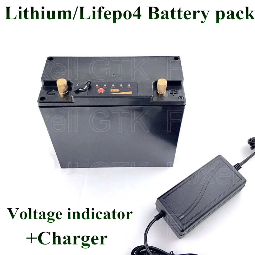 Lifepo4 12V battery pack 12V 20AH BMS for Golf trolly 12.8v 300w motor car camera Portable DC power litio with 14.6v 3A charger (3)