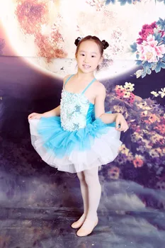 

2018 Limited Real Child Leotard Evening Dress Princess Costume Female Latin Dance Clothes 8026 Ballet Tutu,ballet For Children