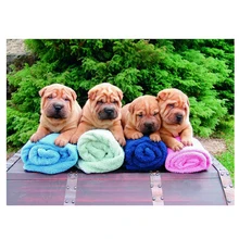 Сделай Сам квадратная круглая Алмазная картина на заказ животное foto шар пей животное, бриллиант, вышивка собака крестиком свадебное DecorationZP-961