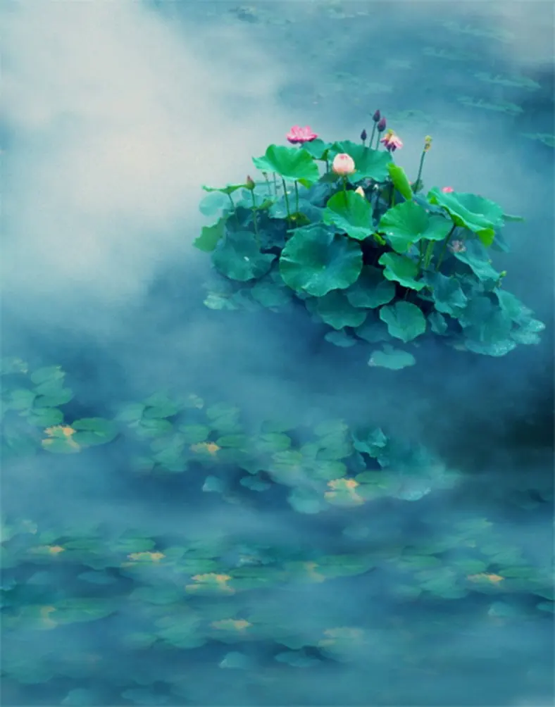 

5x7ft Lotus Green Leaves Photography Backdrops Photo Props Studio Background