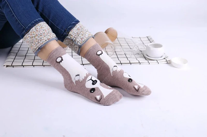 4528638008_297019652