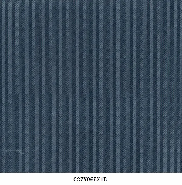C27Y965X1B