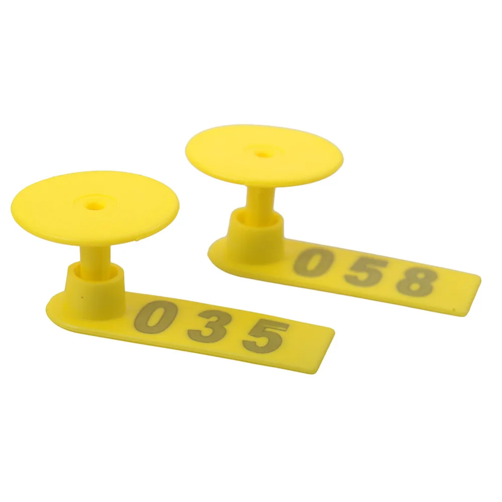 YW50-Yellow (4)
