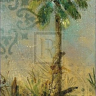 Curacao III Poster Print by Carney (8 x 20)