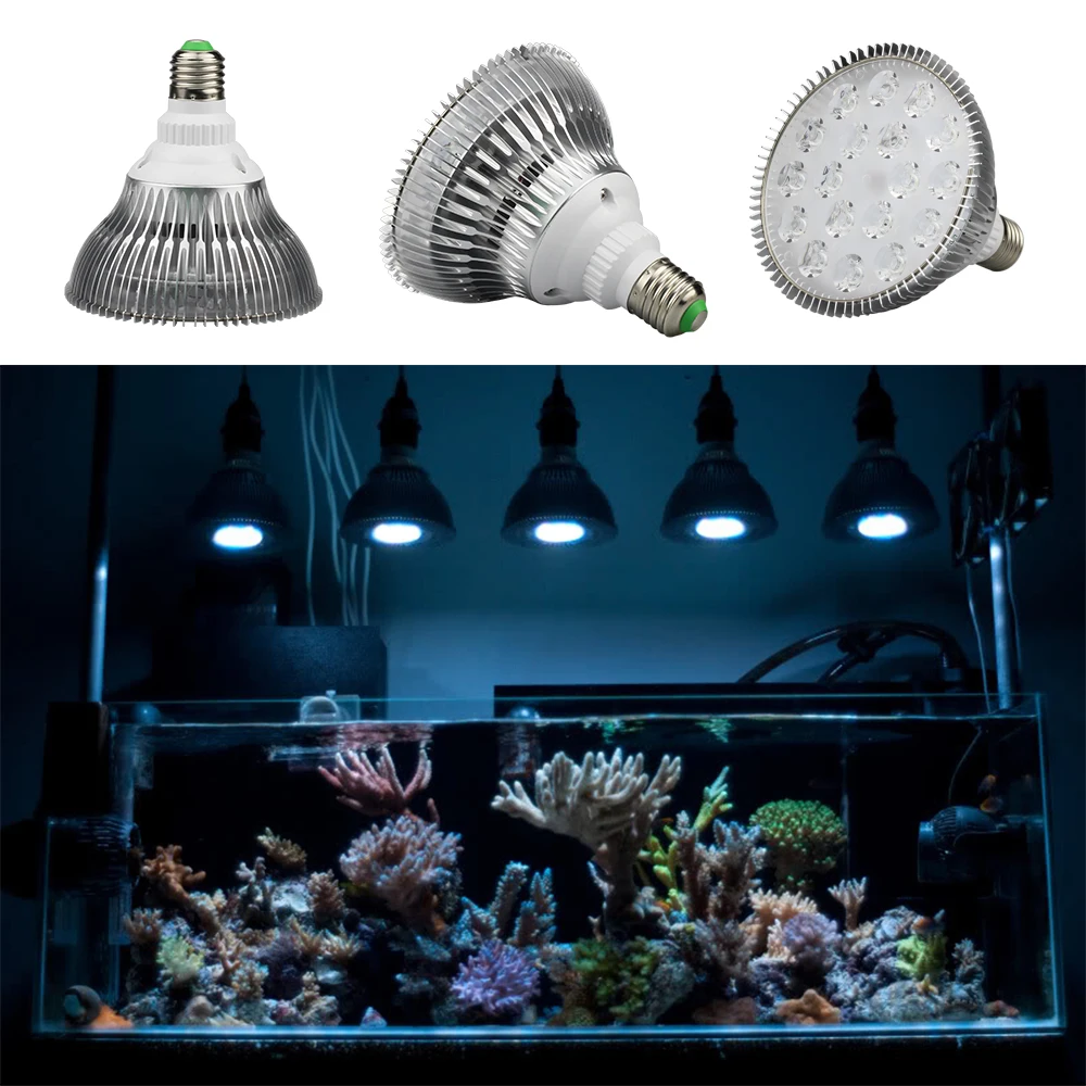 12 E27 5 Aquarium Par38 Led Achat Rayway 9 Lumière W 7 15 Par30 18 qVSzUMpG