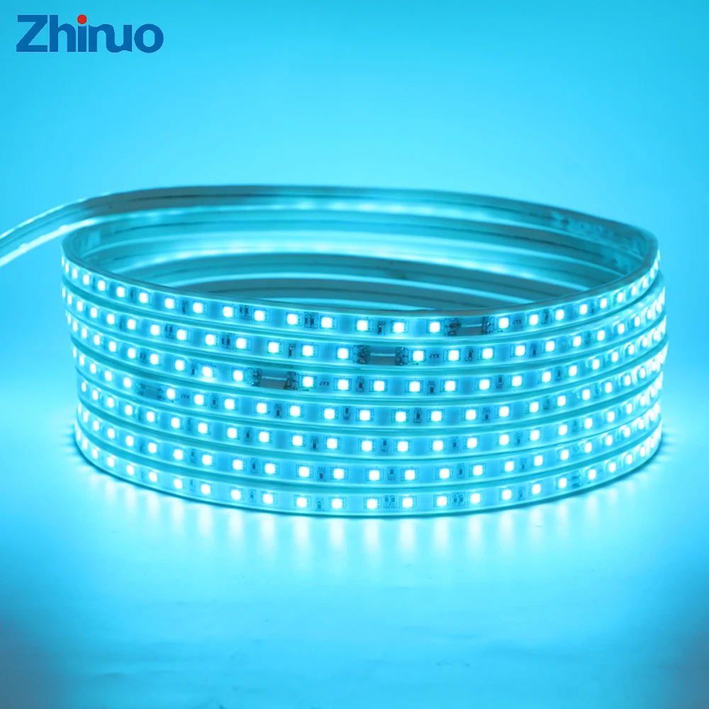 #cheap 220V RGB LED Strip SMD5050 60LEDs m Waterproof Flexible Neon Holiday Lighting Party Decoration Light Emitting Diode Aquarium