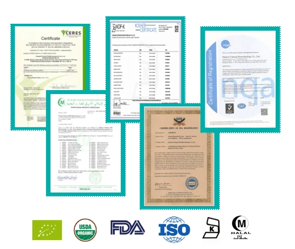 Beste USDA en EC Gecertificeerde biologische moringa blad poeder