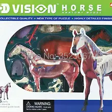 Лошадь анатомическая модель 4D Vision модель от 4D Master endcatial toys