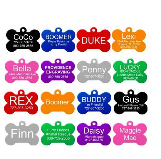 Cat Names For A Girl And Boy Cat Names For A Girl And Boy