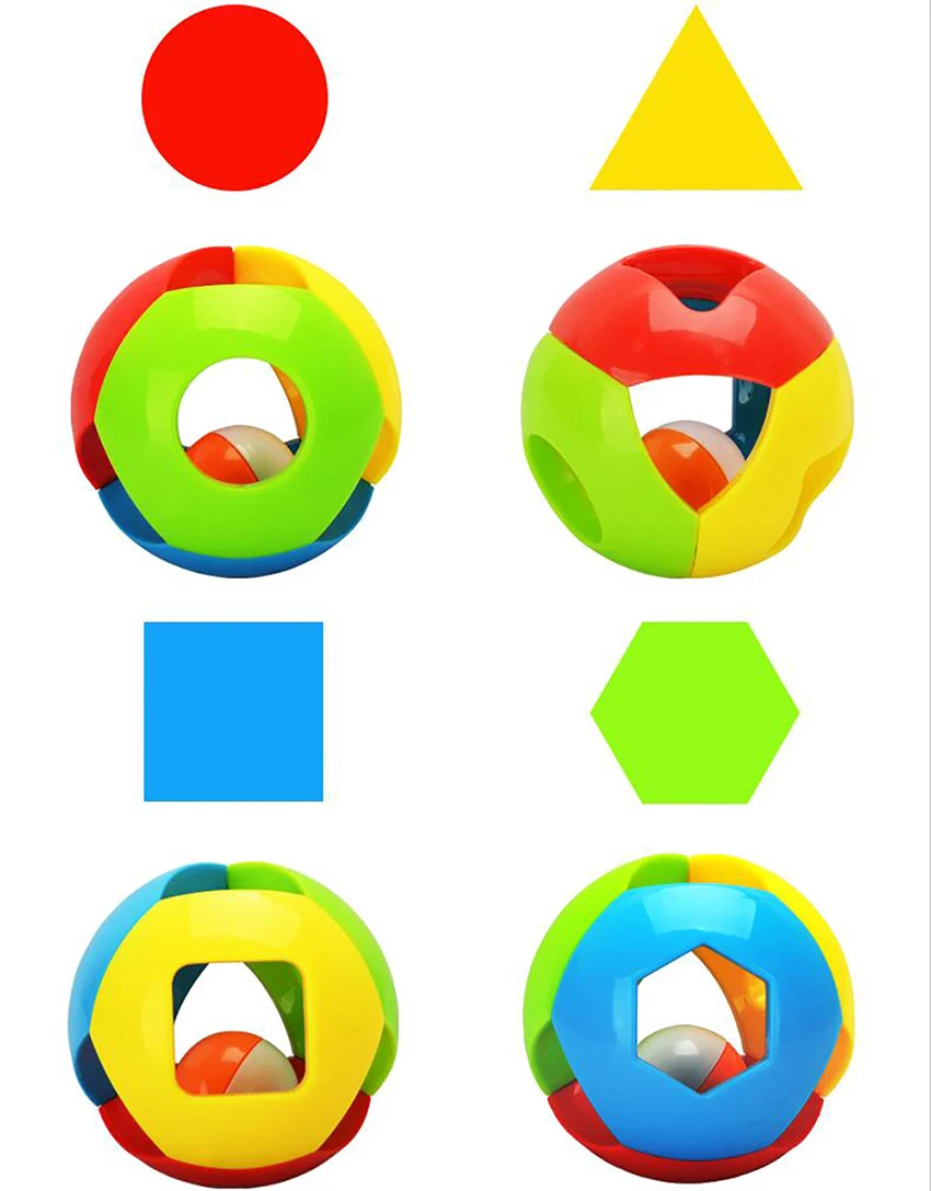 z6