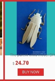 dianxiaobao
