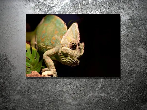 Diy Diamond Lukisan Cross Stitch Kit Kadal Bunglon Hewan Reptil 5d