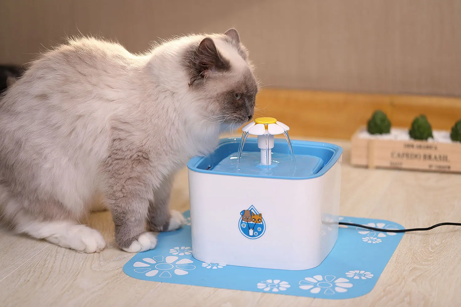 Фонтанчик питьевой для кошек