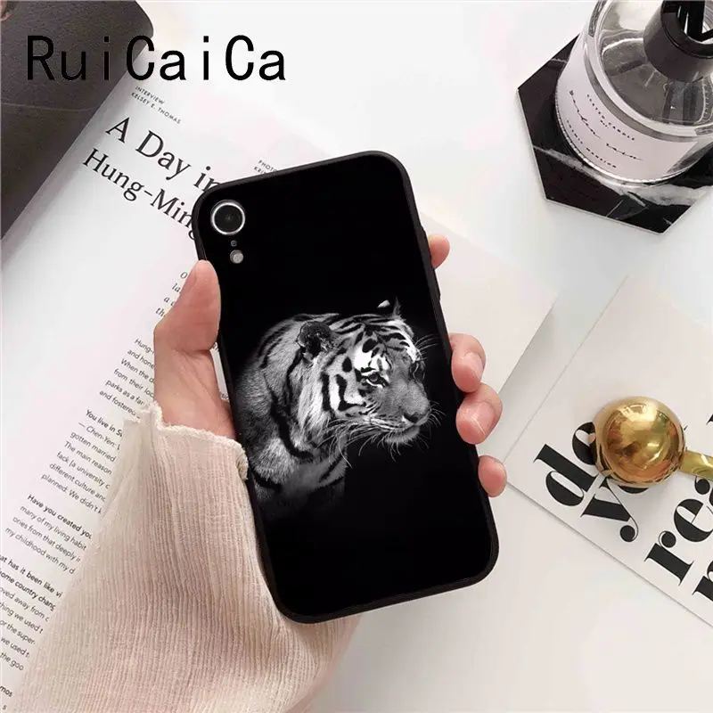 tiger fashion