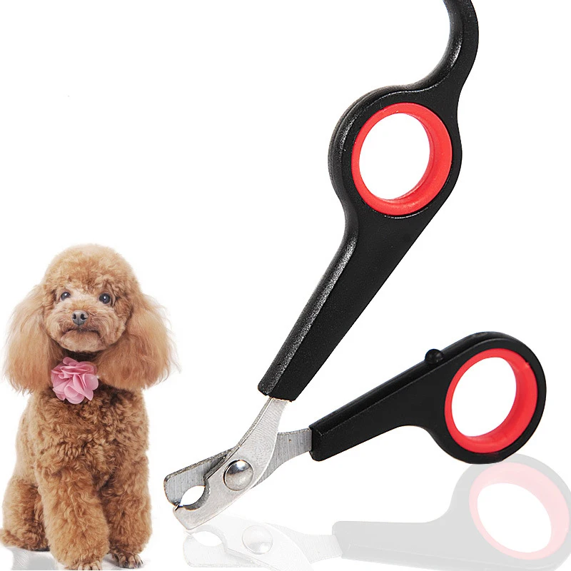 

Hot 1 Pc Durable Stainless Steel Blade Trimmer Cat Dogs Scissors Clippers For Nail Grooming