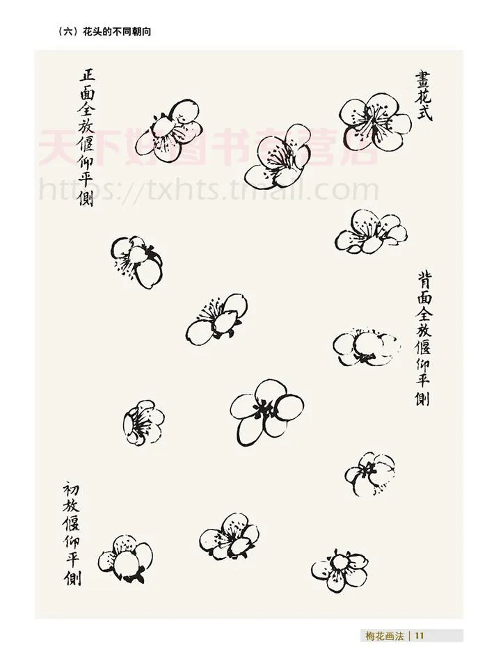 Китайские традиционные сливы цветок картина Книги по искусству книги