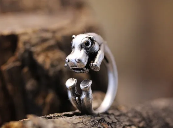 hippo1