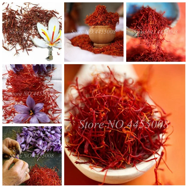 1000 Pcs/ Bag Imported Saffron Bonsai(Not Crocus Saffron Bulb) Outdoor Flower Iran Saffron Potted Plant For Home Garden Planting