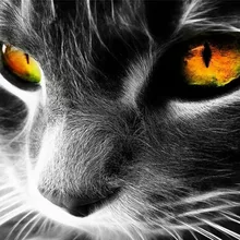 Кошачьи Глаза DIY живопись по номерам 24 Цвета Пигмент кисть Искусство Ручная роспись креативная цифровая картина маслом